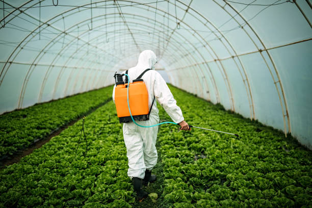 Best Pest Control Near Me in Grabill, IN