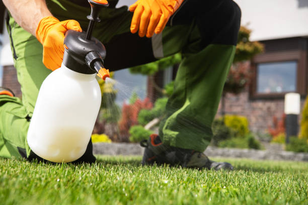 Best Local Pest Control Services  in Grabill, IN
