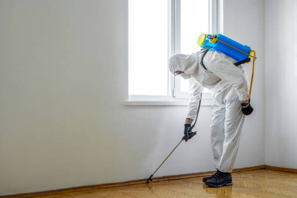Best Residential Pest Control  in Grabill, IN