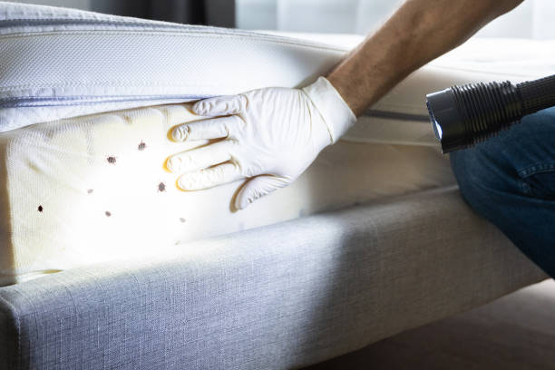 Best Pest Control for Restaurants  in Grabill, IN