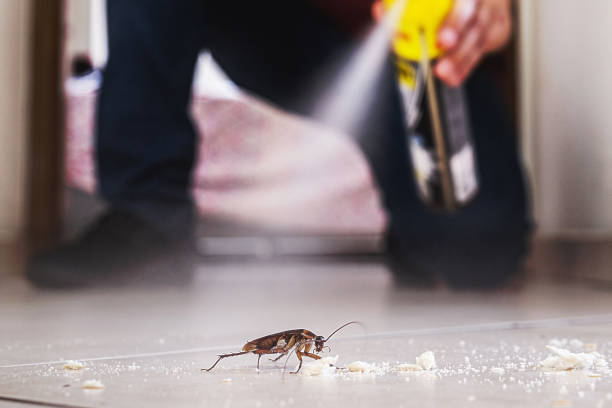 Best Best Pest Control Companies  in Grabill, IN