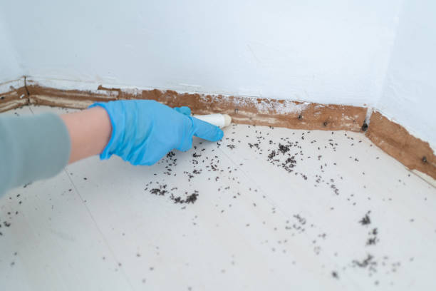 Pest Control Cost in Grabill, IN