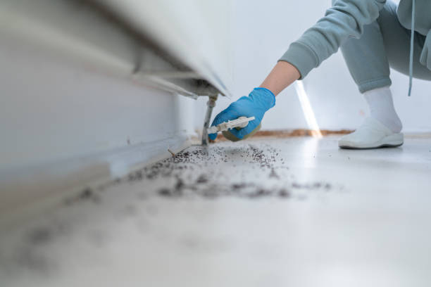 Pest Control for Restaurants in Grabill, IN