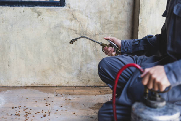 Best Affordable Pest Control Services  in Grabill, IN